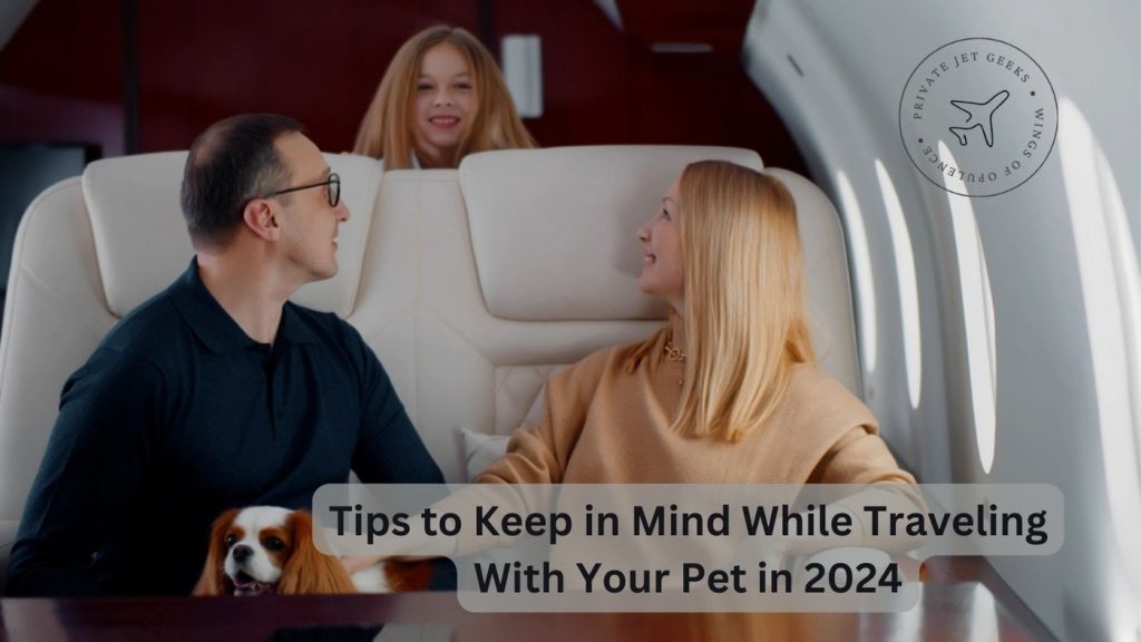 Tips to Keep in Mind While Traveling With Your Pet in 2024